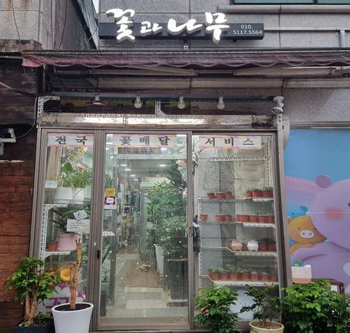 꽃과나무1.jpg
