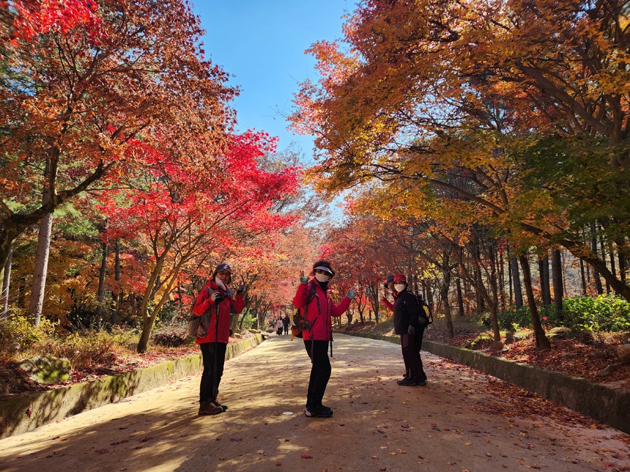 경상북도  문경새재4.jpg