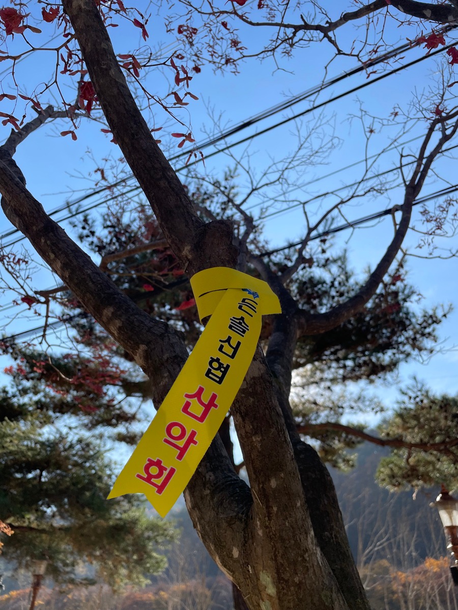 경상북도  문경새재6.jpg