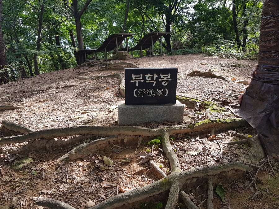 KakaoTalk_20231012_092855171_06.jpg