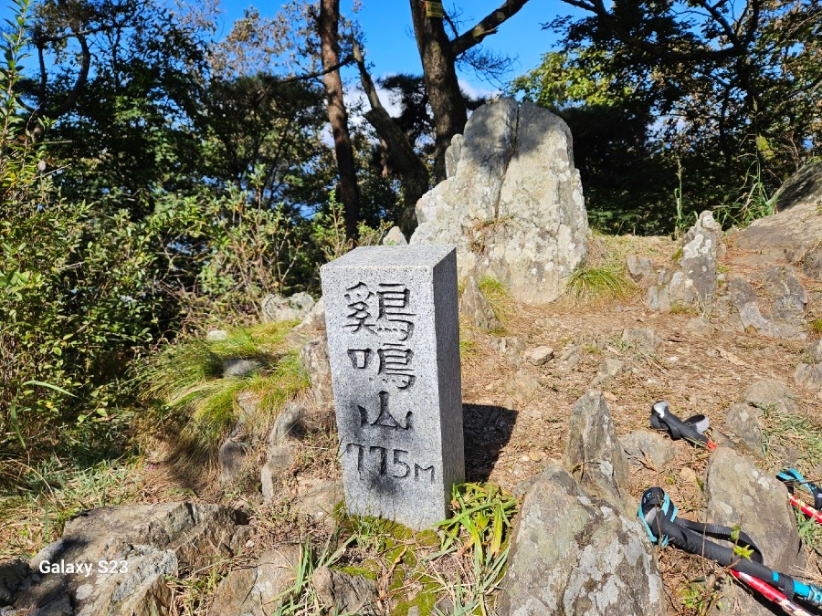 KakaoTalk_20250717_124711396_01.jpg