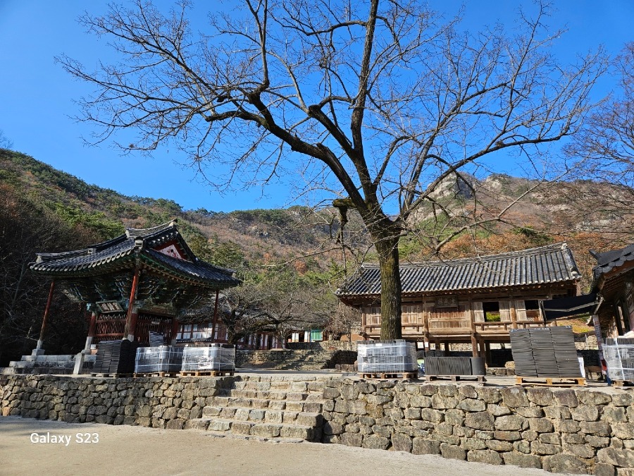 KakaoTalk_20250717_123655878_04.jpg