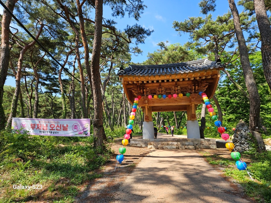 KakaoTalk_20250717_121459286_04.jpg