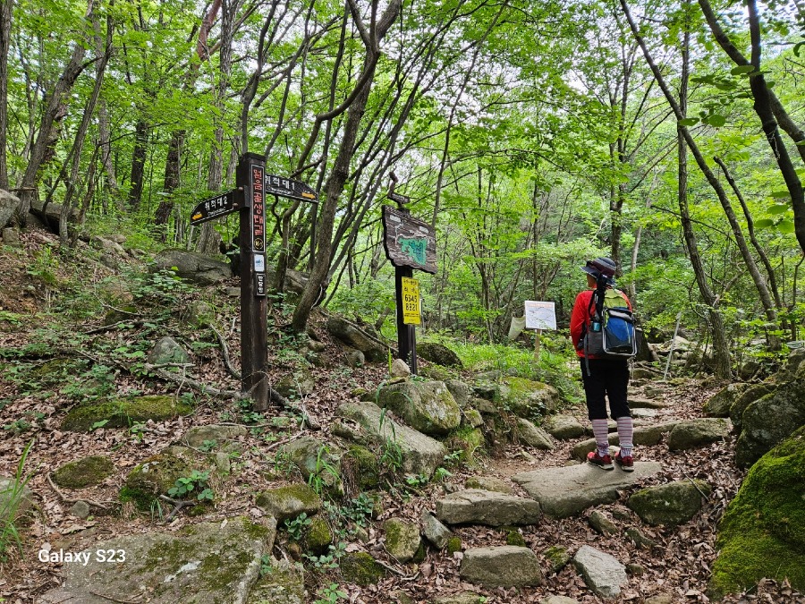 KakaoTalk_20250717_121001053_03.jpg