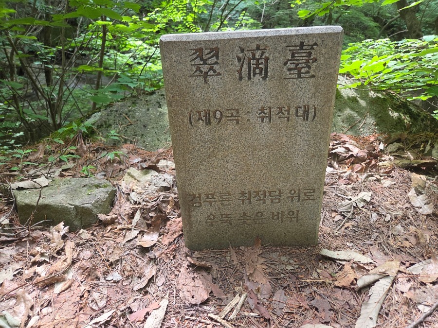 KakaoTalk_20250717_121001053_05.jpg